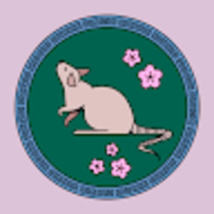 Meet your Posher, Ann